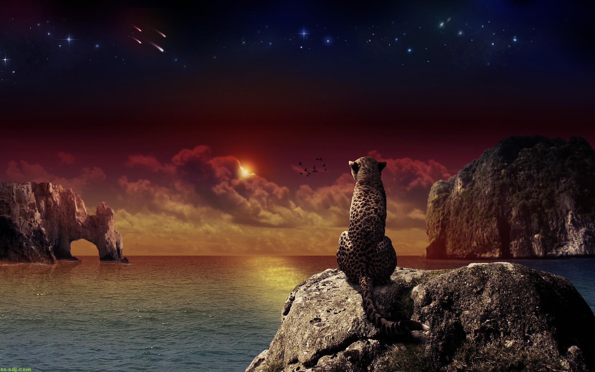 1920x1200 Beautiful Disney Wallpaper search results. EskiPaper
