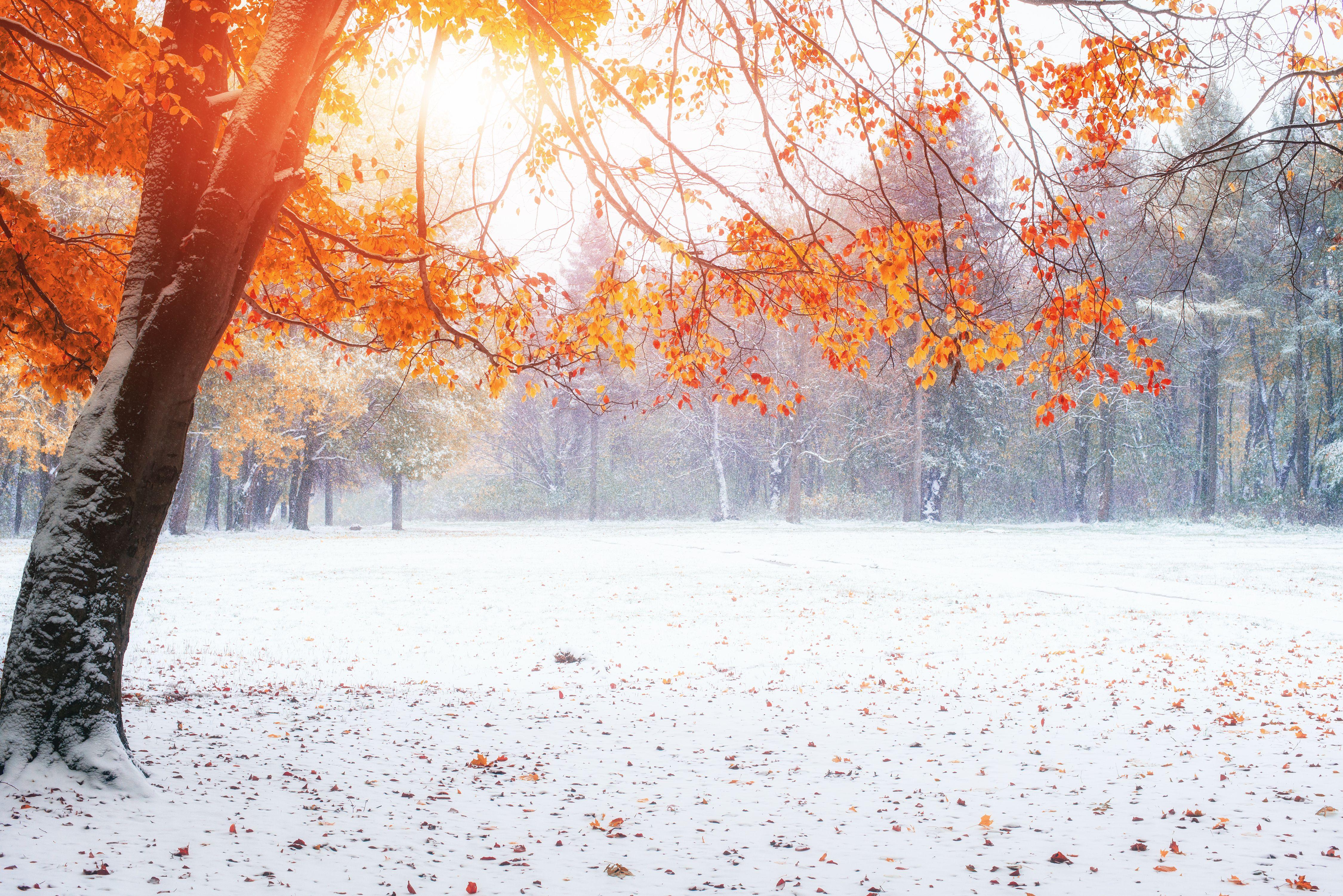 4500x3003 Winter 4k Ultra HD Wallpaper