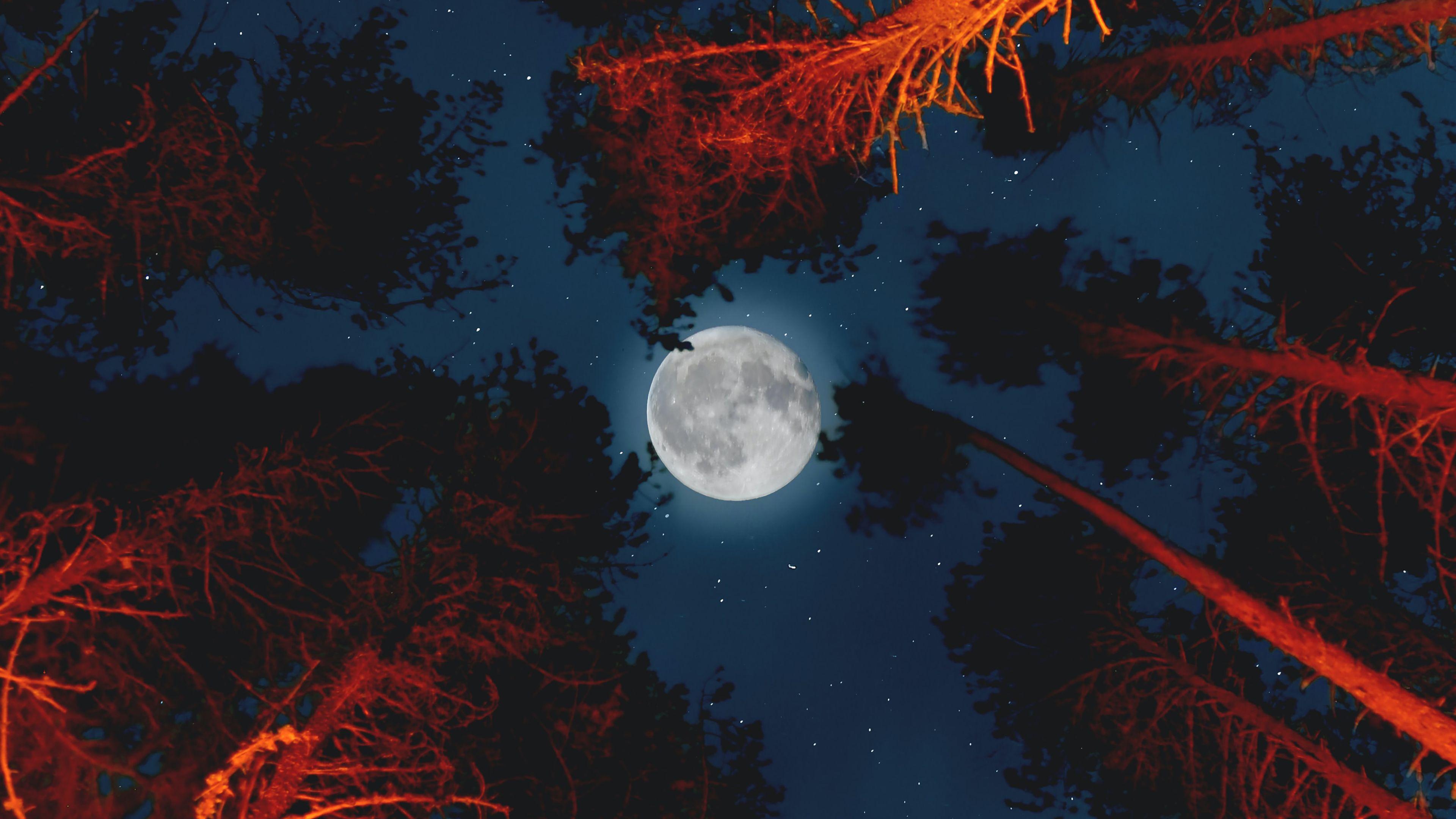 3840x2160 Full Moon 4k Ultra HD Wallpaper. Background Imagex2160