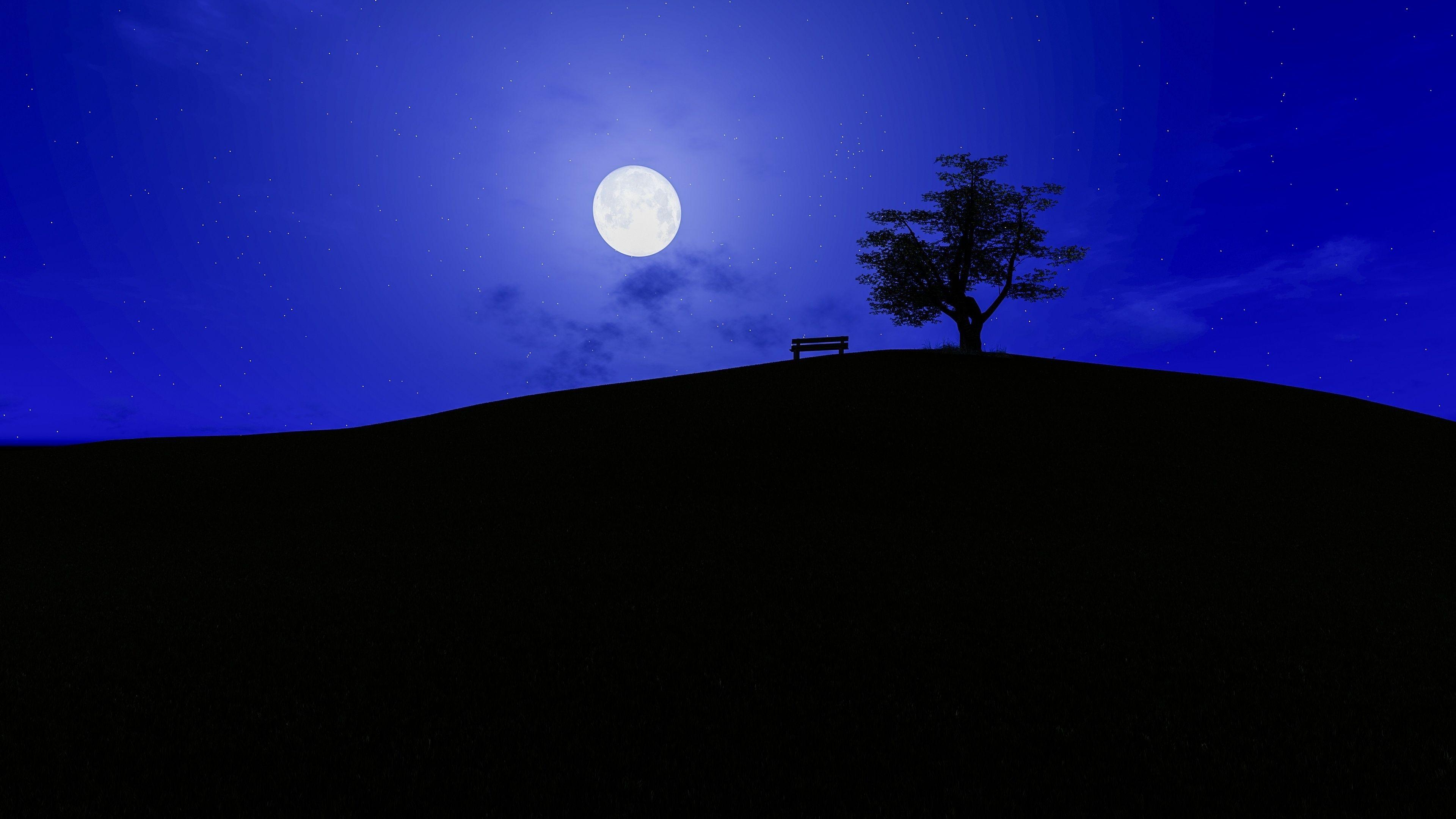 3840x2160 Download 3840x2160 wallpaper night, moon, landscape, tree, 4k, uhd