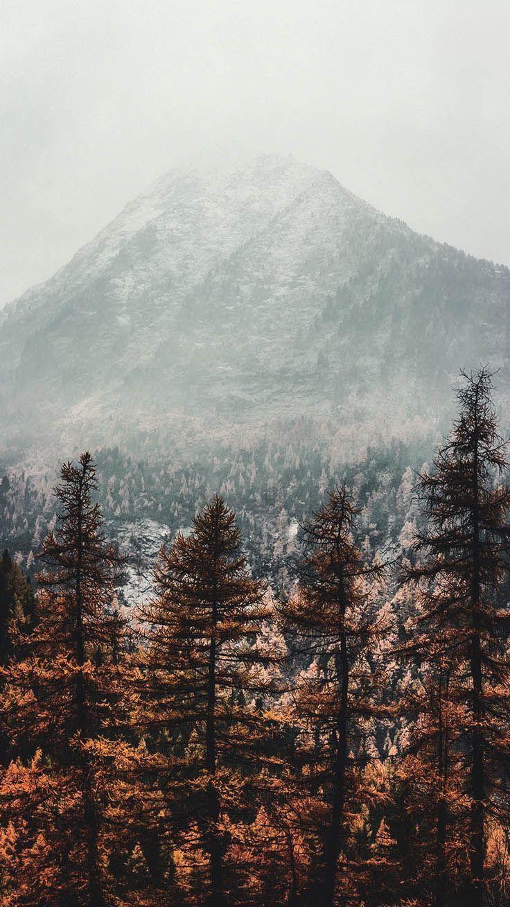 736x1308 Landschaft. Fotografie