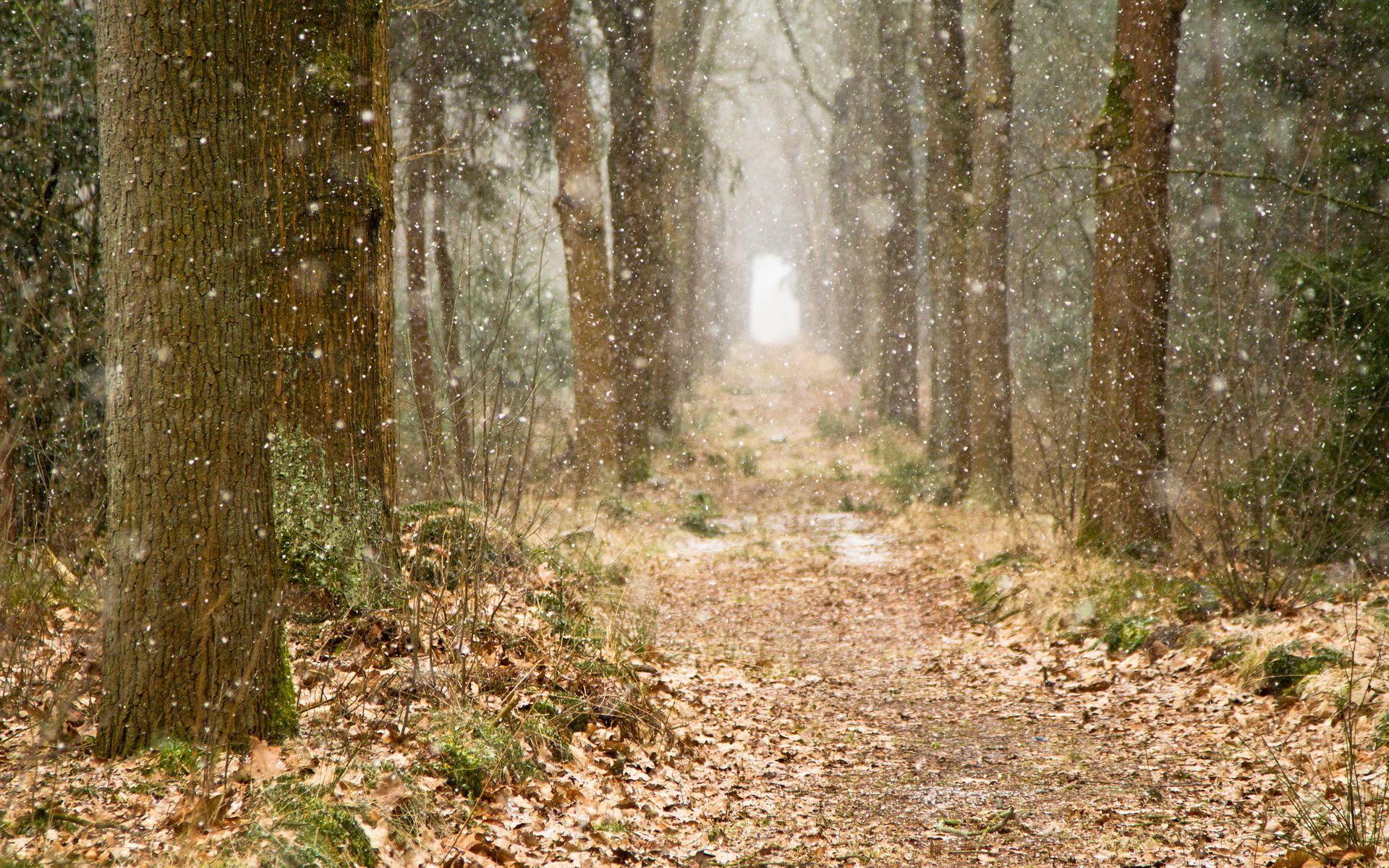1920x1200 Fall Winter Wallpaper