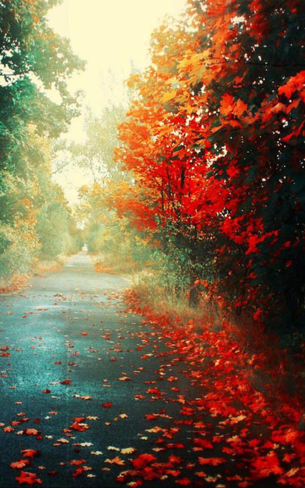 1000x1600 Beautiful Winter Fall Road Free HD Mobile Wallpaper