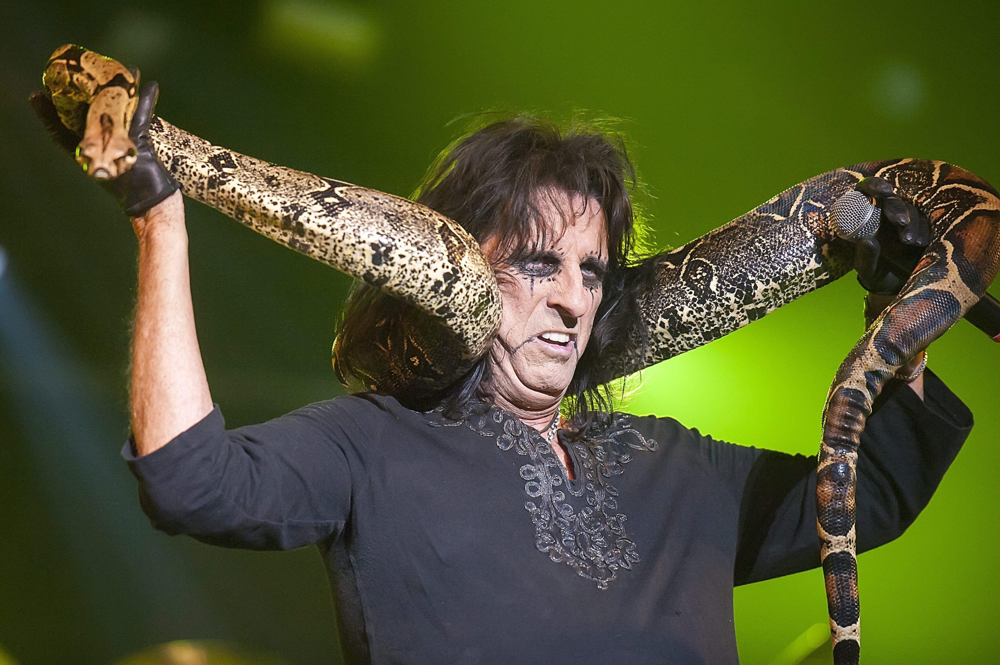 Alice Cooper Wallpapers - Top Free Alice Cooper Backgrounds