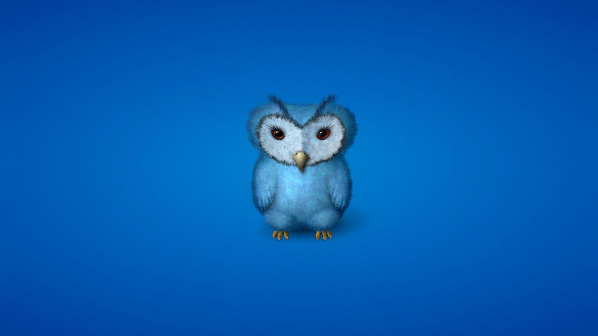 Blue Owl Wallpapers Top Free Blue Owl Backgrounds WallpaperAccess