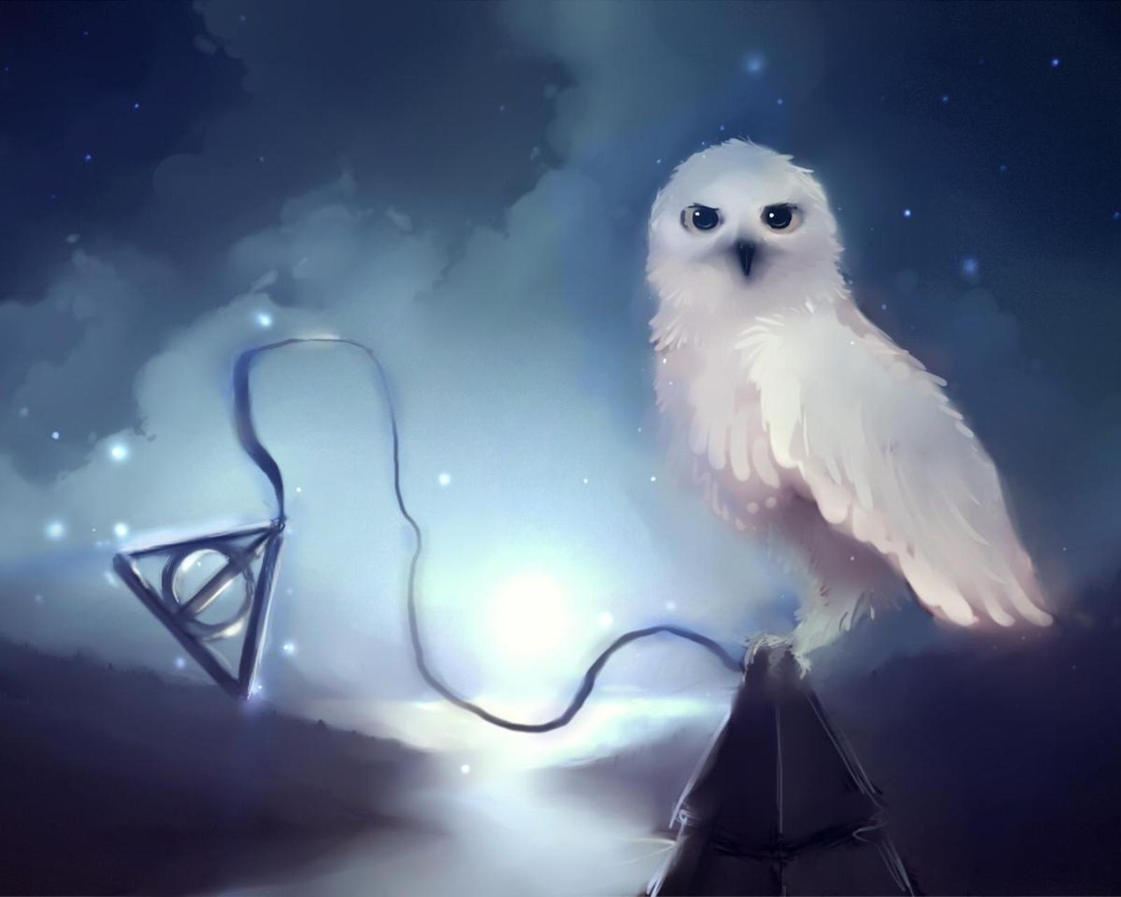 1600x1280 Hedwig Wallpaper. Hedwig Harry Potter