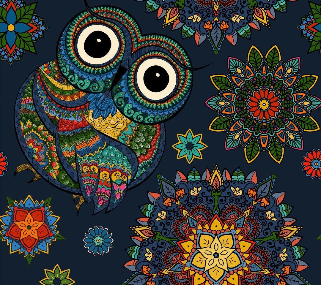 1080x960 Adorkable owl. Owl illustration, Mandala, Illustration