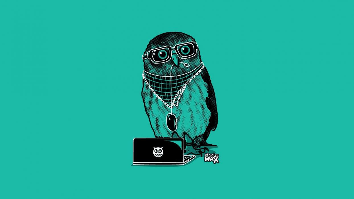1244x700 Minimalistic glasses laptops owls wallpaperx1080