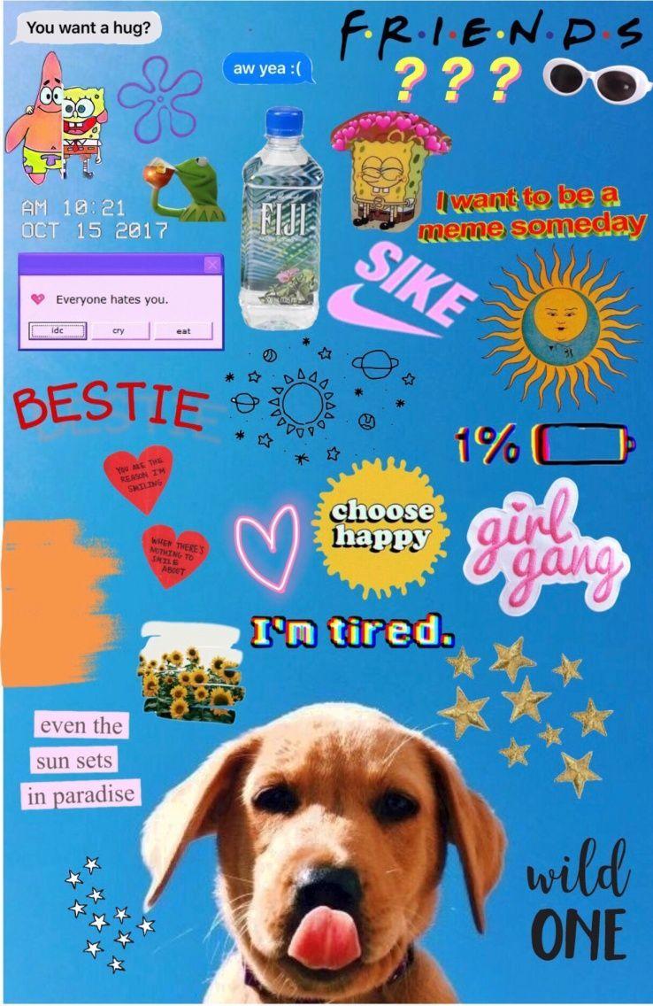 Hình nền máy tính Vsco Aesthetic 738x1136