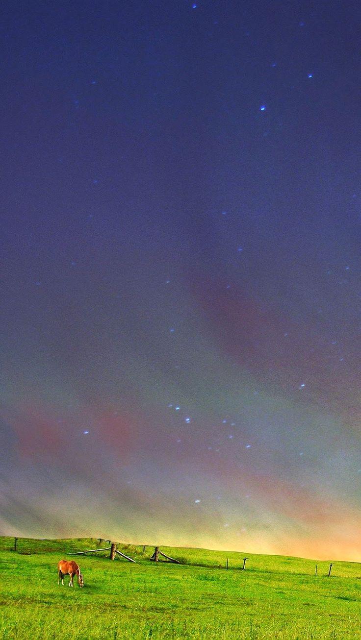 736x1306 Download Original iPhone Wallpaper HD Gallery