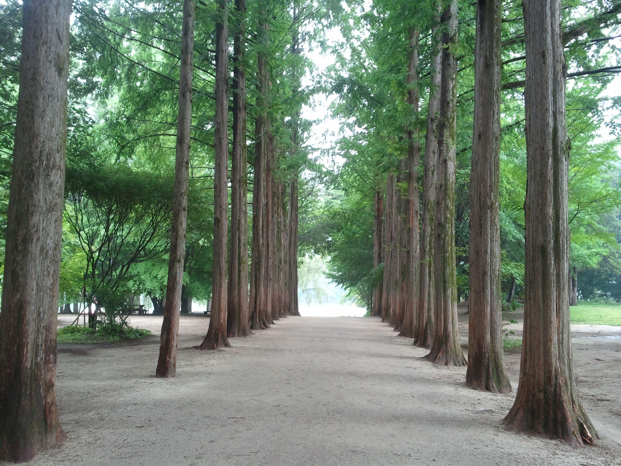 2560x1920 Best Partner or Korean Tour trip ::: Jeju Tour