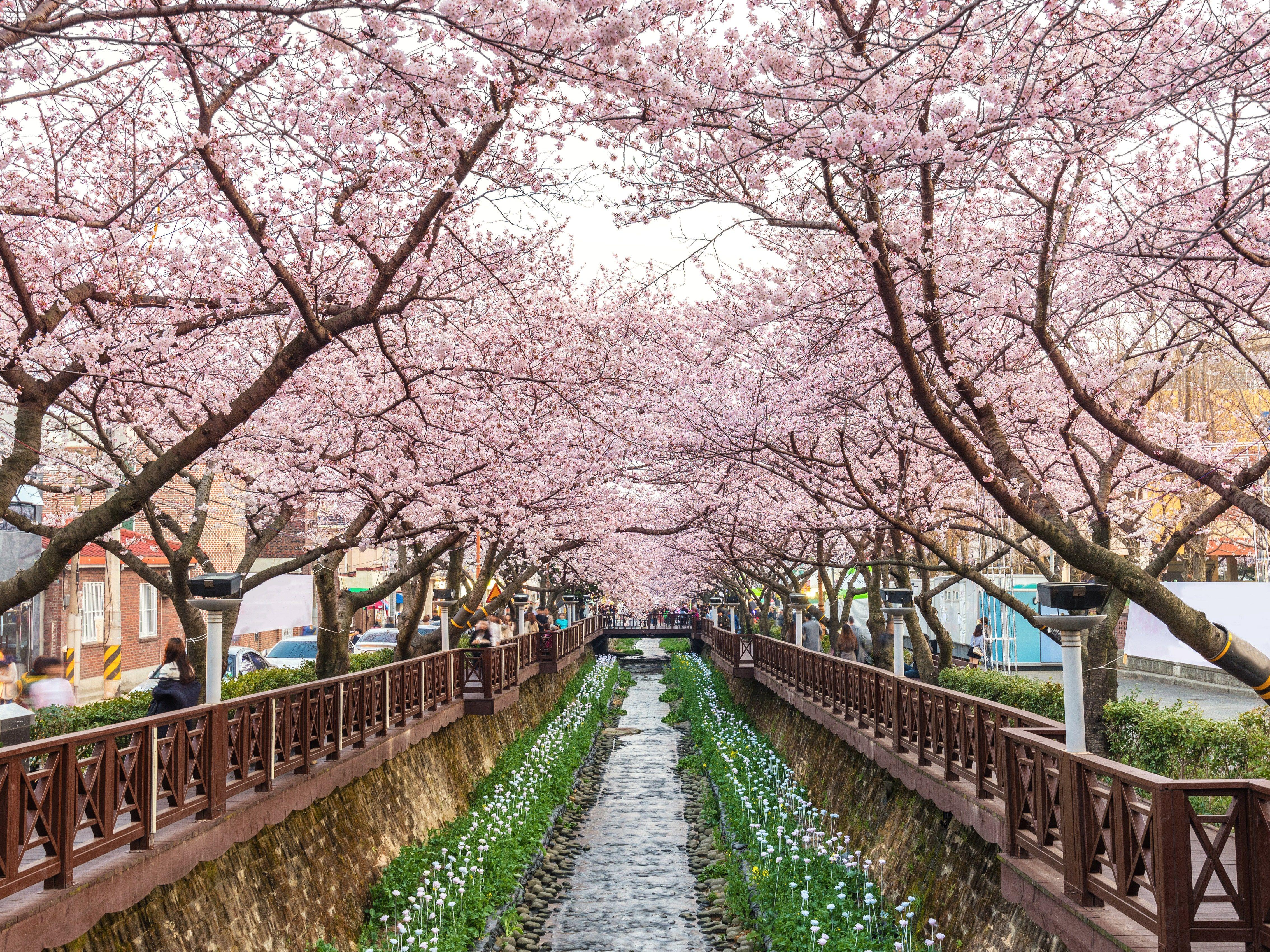 4534x3400 Most Beautiful Places in South Korea. Condé Nast Traveler