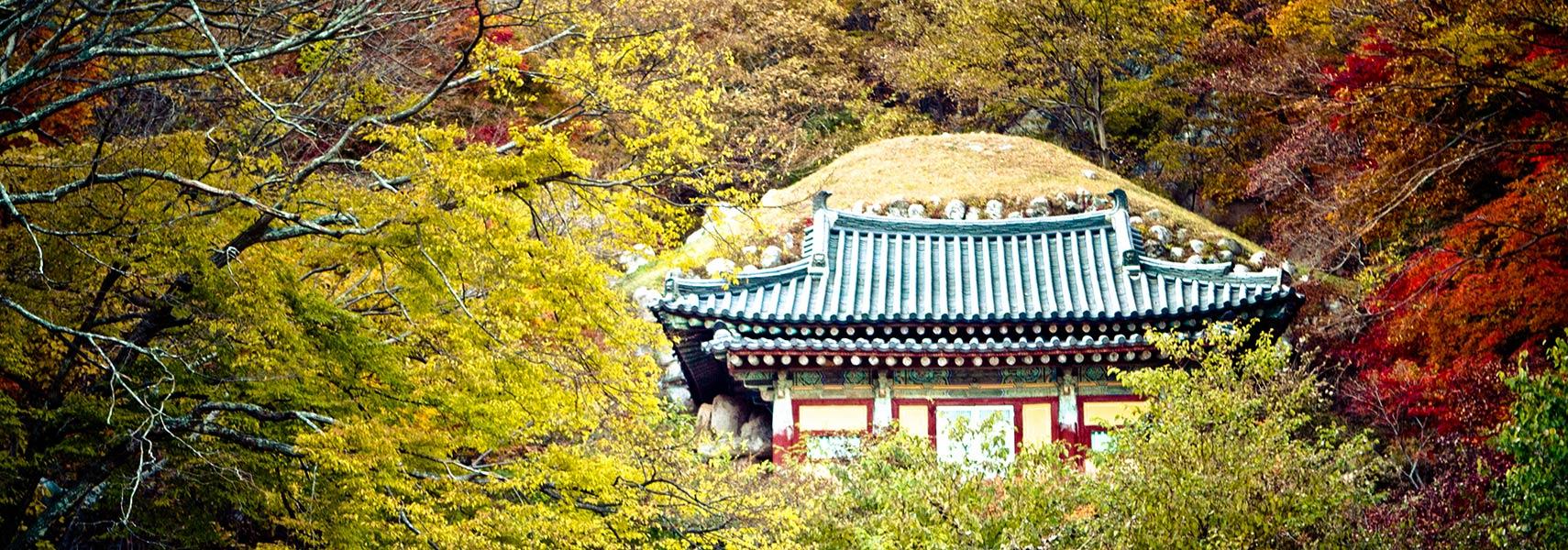 1710x600 South Korea Profile Online Project