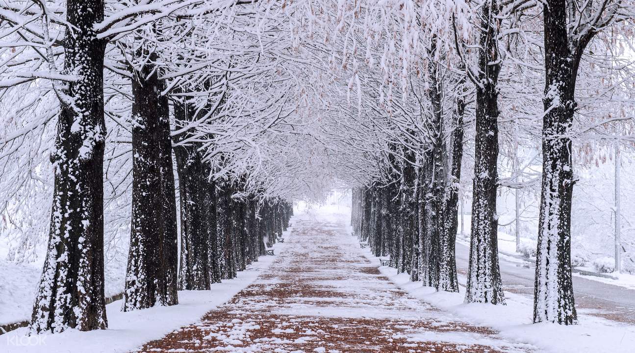 1295x720 5D4N SEOUL WINTER TRIP 2020