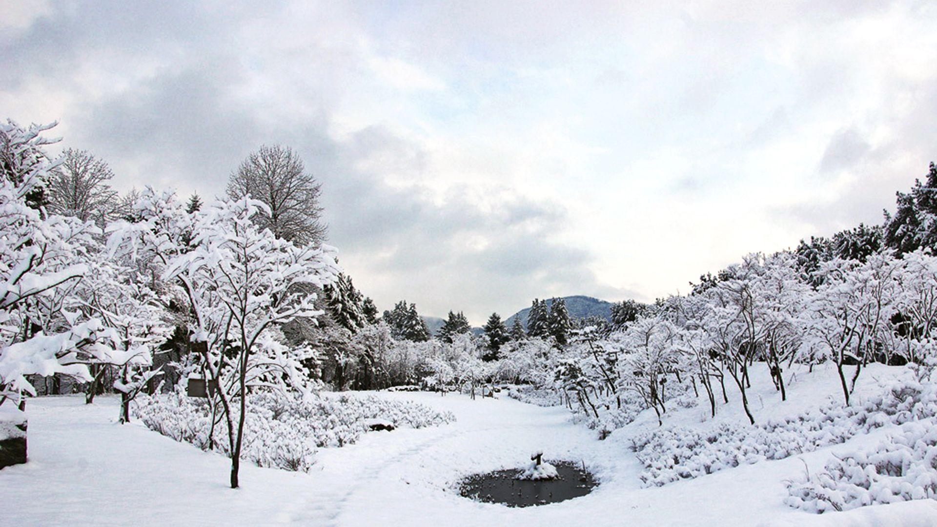 1920x1080 Nami Island Winter Wallpaper HD