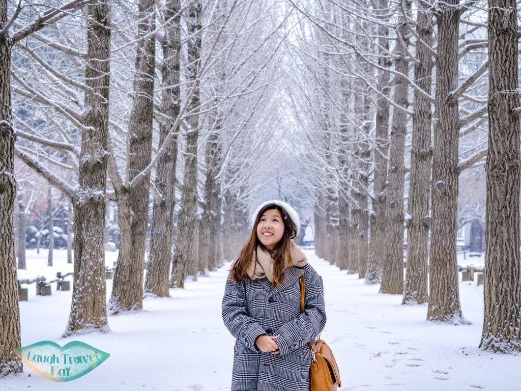 1024x768 Nami Island Winter: what to do on a day trip and MORE