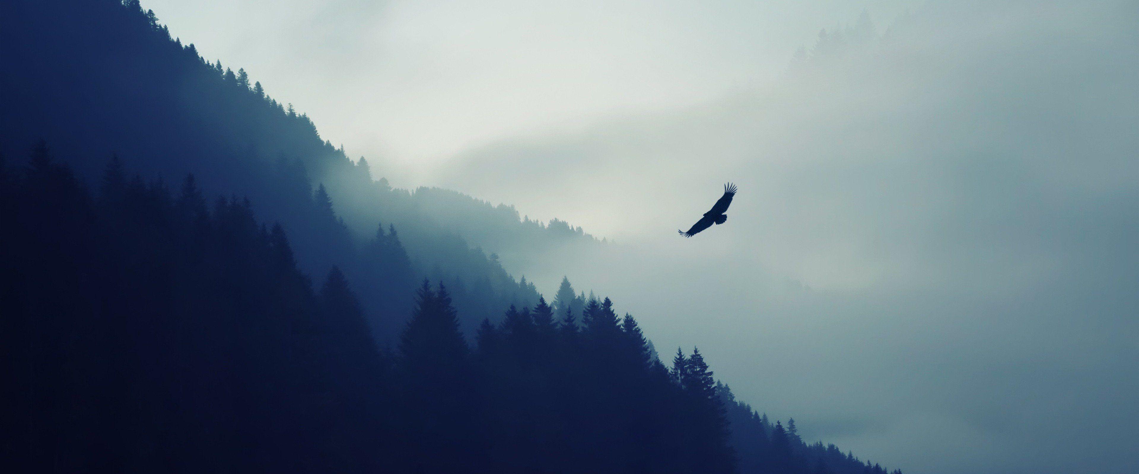 3840x1600 birds, Mountains Wallpaper HD / Desktop and Mobile Background