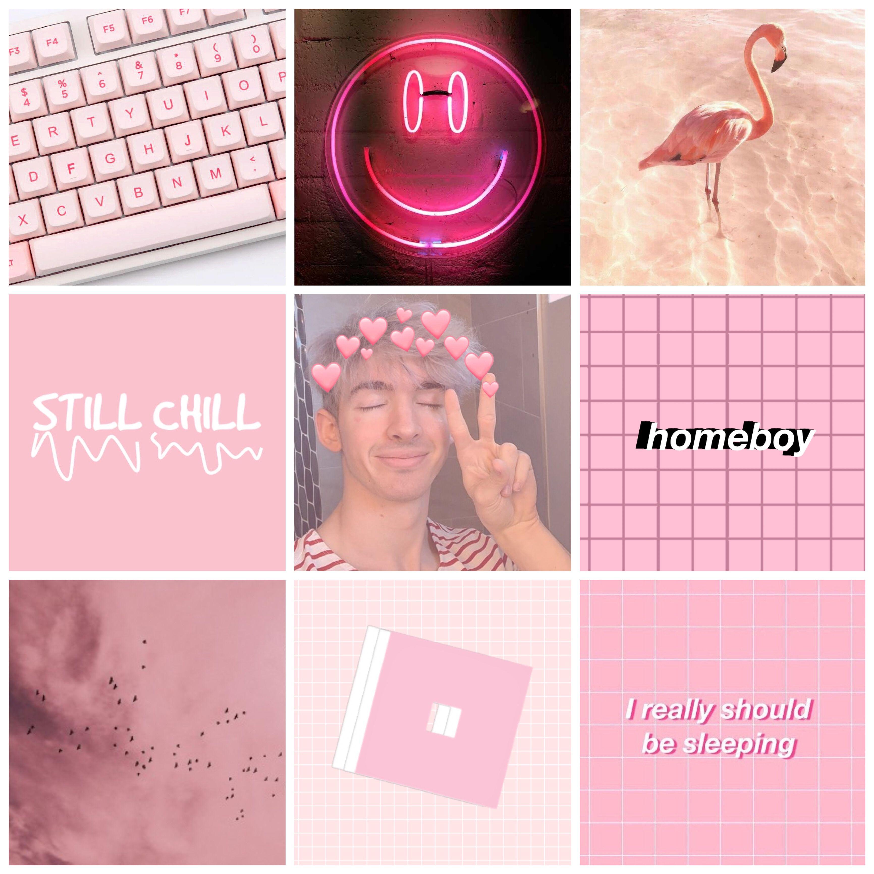 A E S T H E T I C F L A M I N G O A L B E R T Zonealarm Results - still chill flamingo roblox id