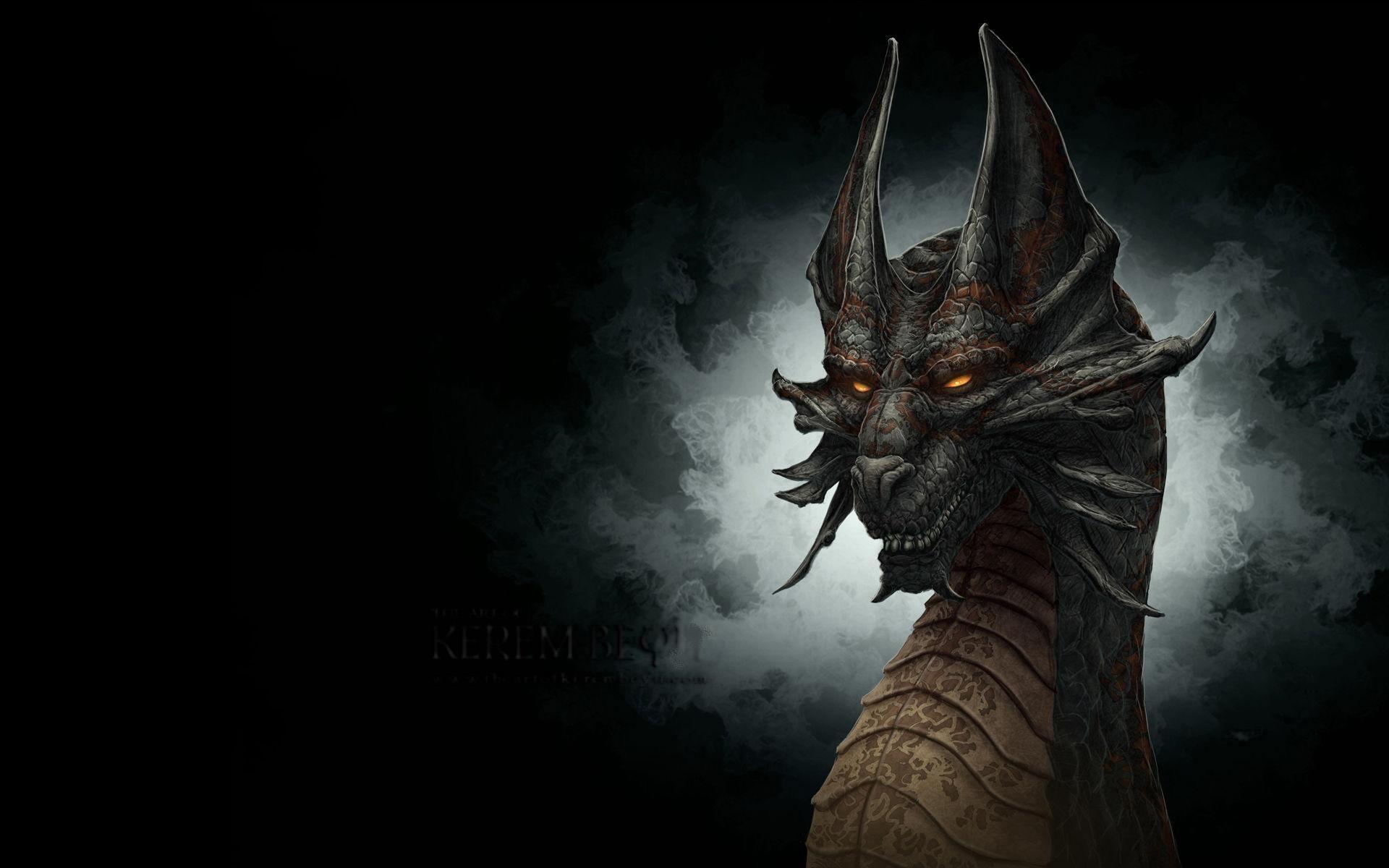 1920x1200 Dragon Full HD Wallpaper and Background Imagex1200