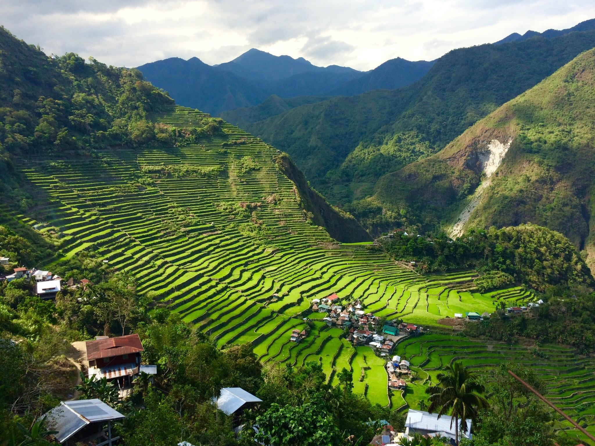 Banaue Rice Terraces Wallpapers Top Free Banaue Rice Terraces 