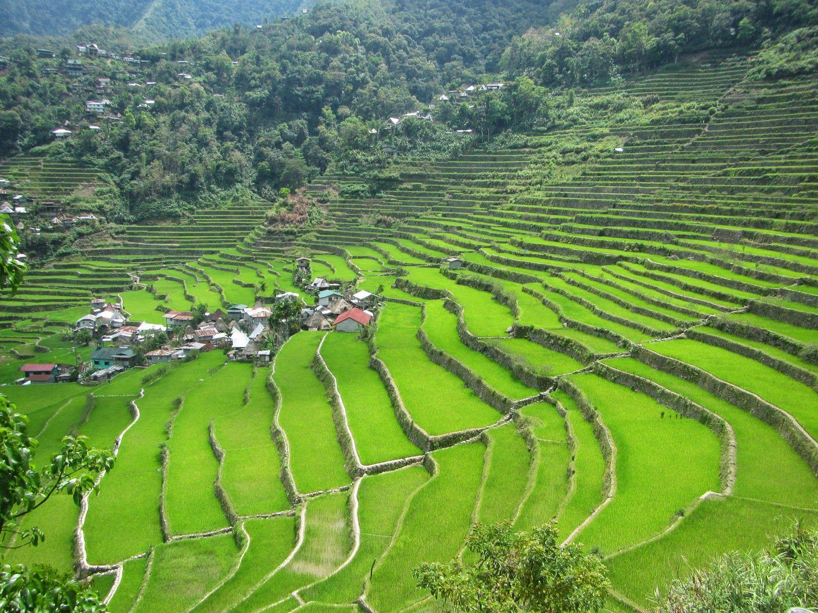 Banaue Rice Terraces Wallpapers - Top Free Banaue Rice Terraces