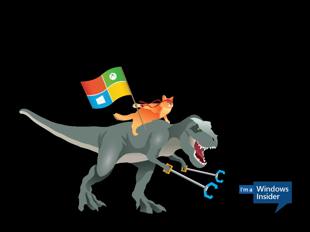 1024x768 Microsoft releases Ninja Cat Wallpaper for Phone, PC & Band