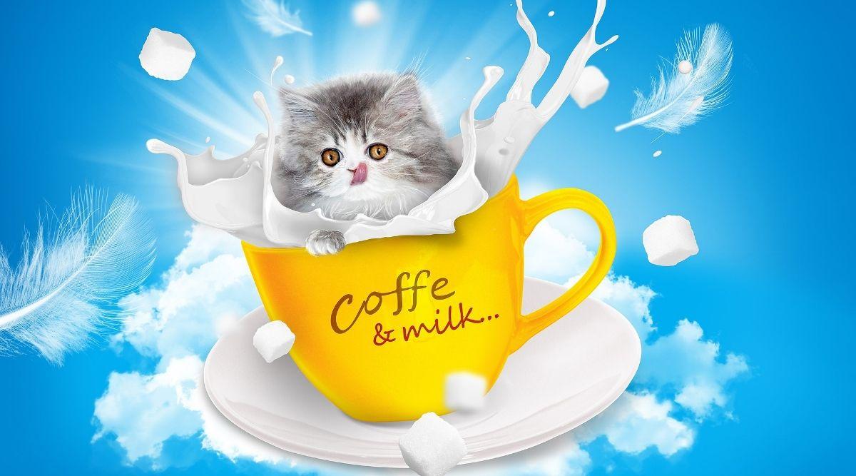 1200x667 World Milk Day Image & HD Wallpaper for Free Download Online: Wish Happy Milk Day 2020