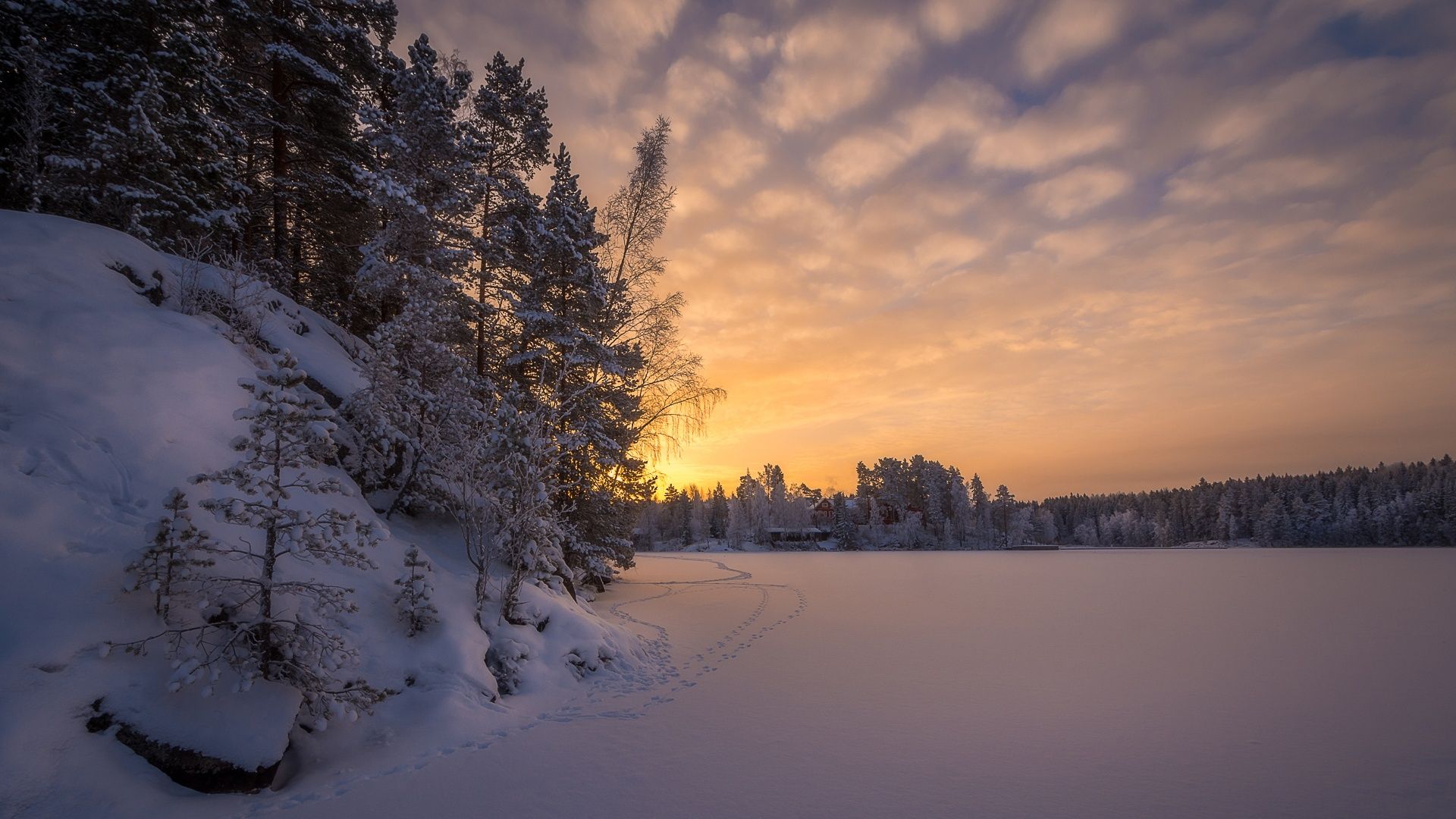 1920x1080 Wallpaper winter, forest, snow, trees, traces, dawn, morning, Finland for mobile and desktop, section пейзажи, resolution 1920x1080