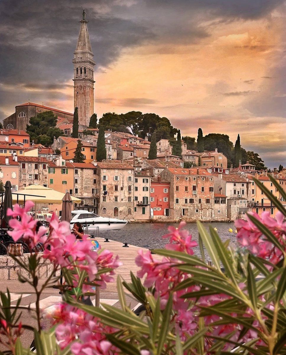 968x1200 Rovinj is absolutely beautiful and charming ✨ ・・・
