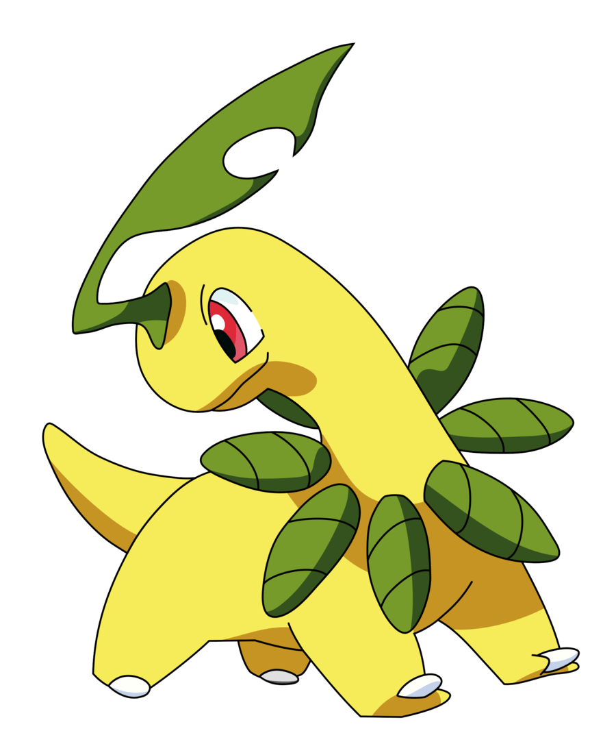900x1086 Bayleef HD Wallpaper