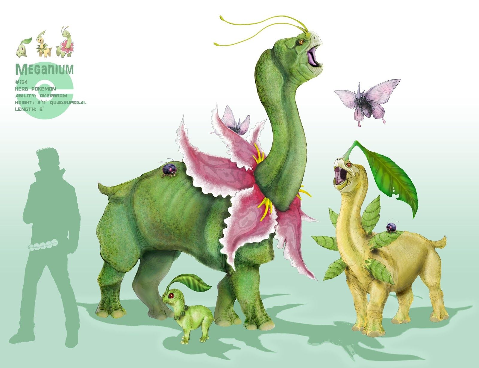 1600x1228 Pokémon by Review: - : Chikorita, Bayleef & Meganium