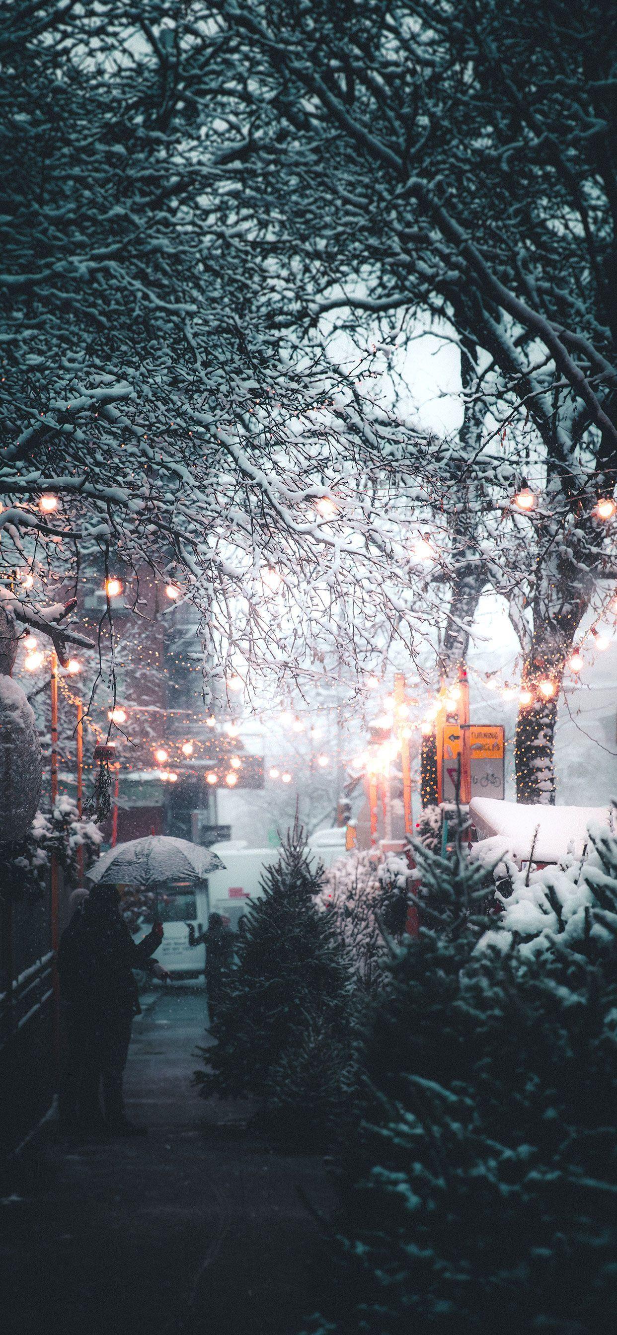 1242x2688 Winter Aesthetic Wallpaper