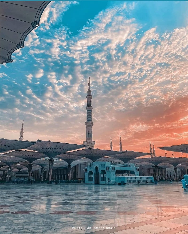 800x996 Madina, mosque, HD phone wallpaper