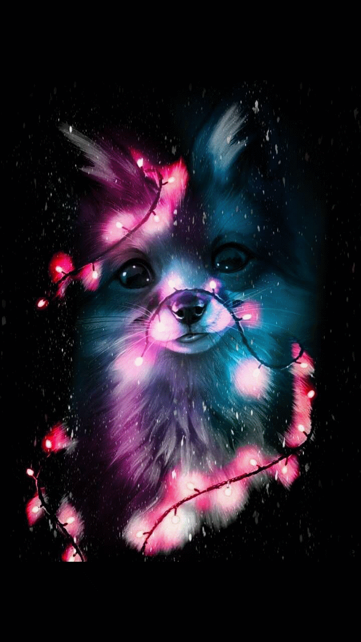 Kawaii Galaxy Animal Wallpapers - Top Free Kawaii Galaxy Animal ...