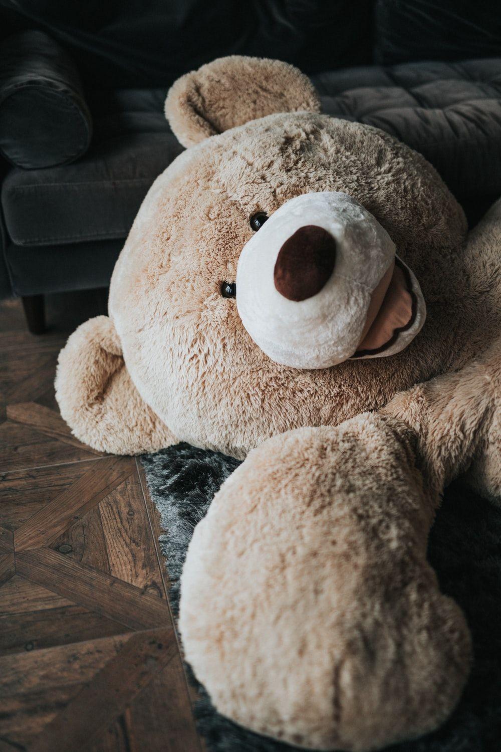 1000x1500 Best Teddy Bear Picture [HD]. Download Free Image