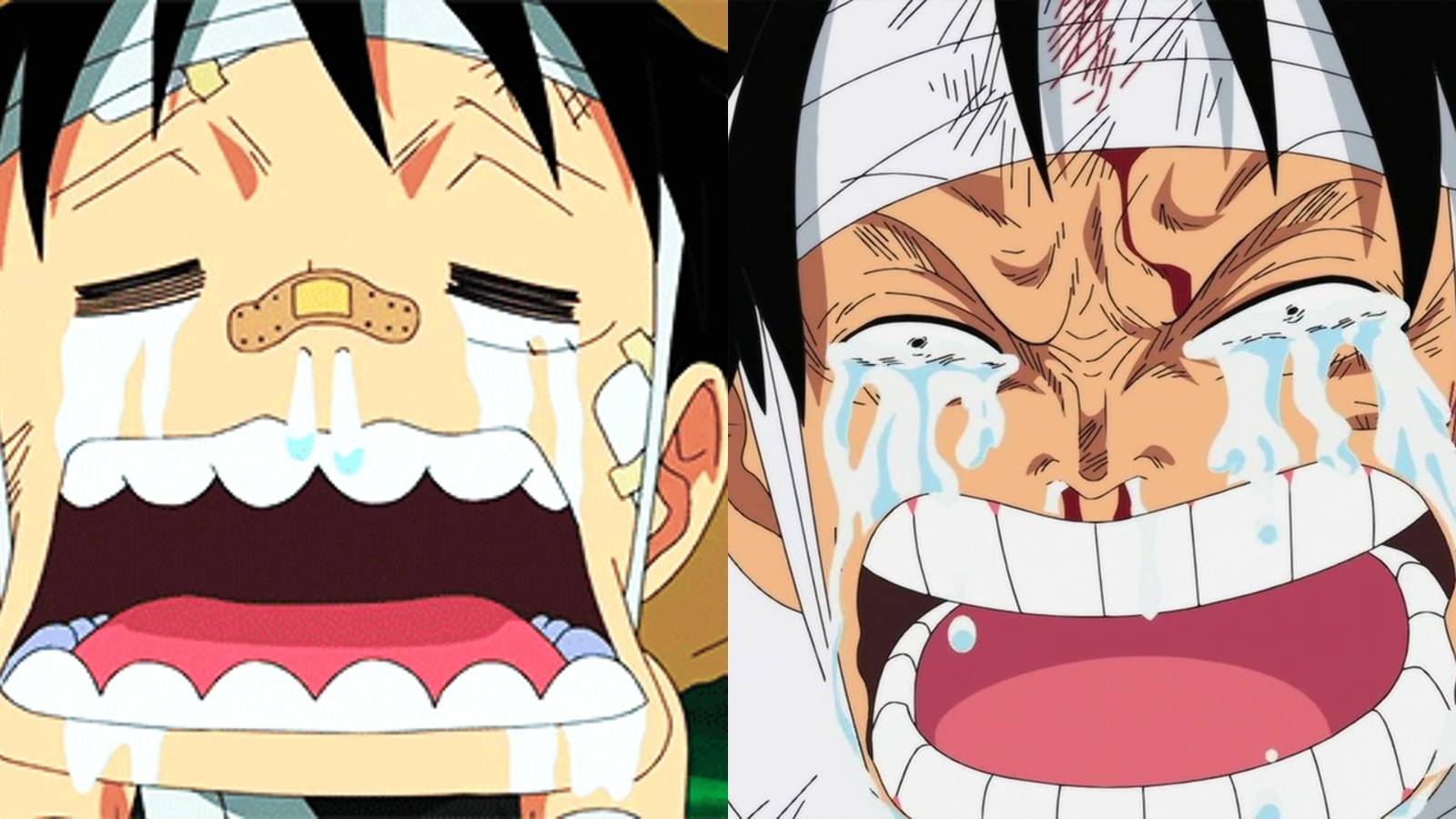 1600x900 One Piece: 10 Worst Decisions Monkey D. Luffy Ever Made