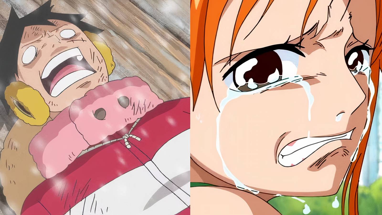 1600x900 One Piece: Luffy Is Going to Die Young