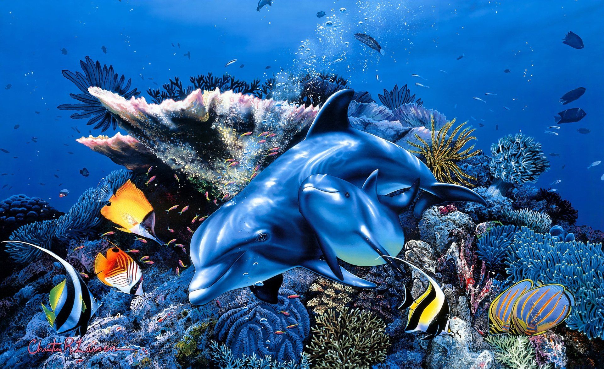 1920x1175 Download Coral Sea Life Baby Animal Painting Fish Animal Dolphin HD Wallpaper by Christian Riese Lassenx1755