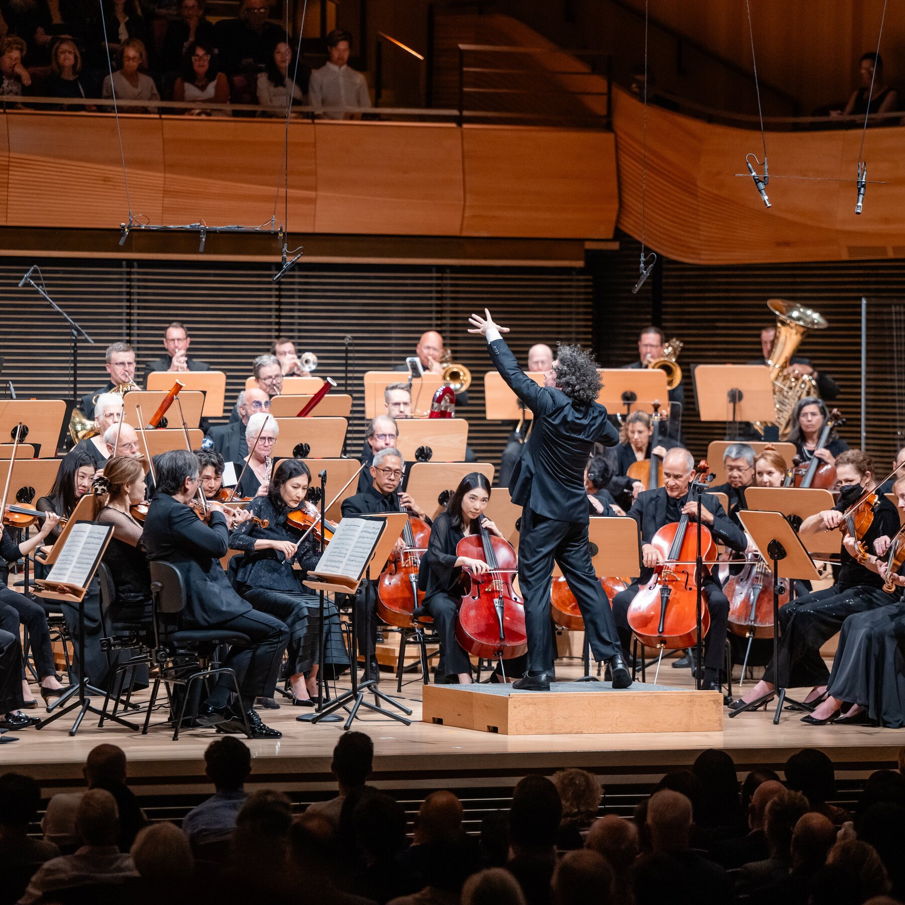 1800x1800 Review: Gustavo Dudamel Gives a Glimpse of New York's Future