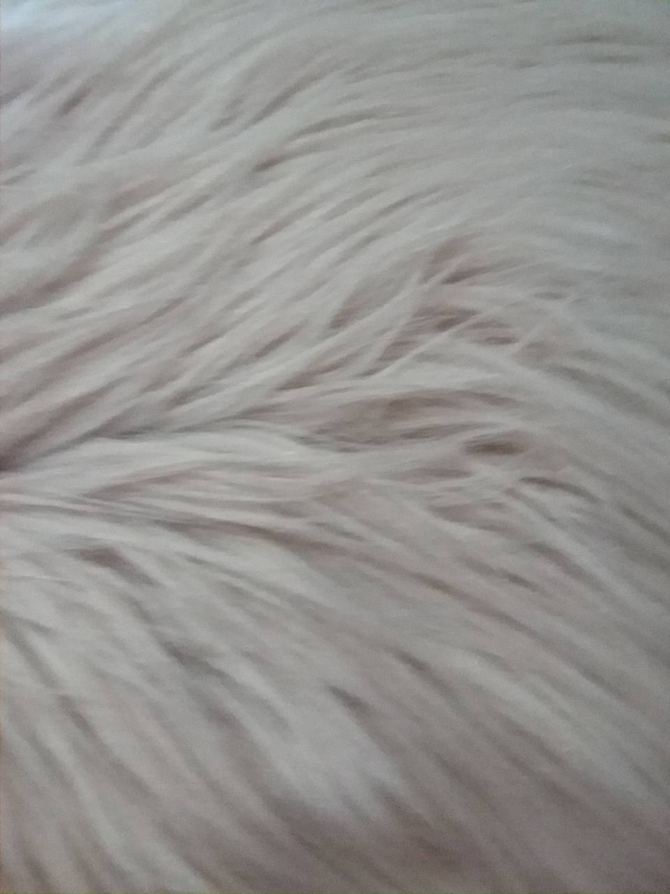 Fuzzy Wallpapers Top Free Fuzzy Backgrounds WallpaperAccess