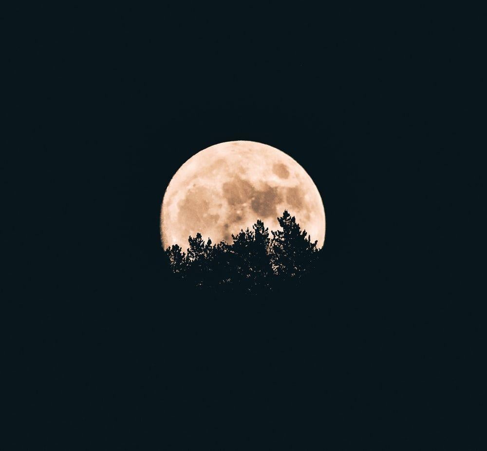 Hình ảnh Mặt trăng 1000x925 [HD)
. Tải xuống ảnh miễn phí và ảnh trên Unsplash