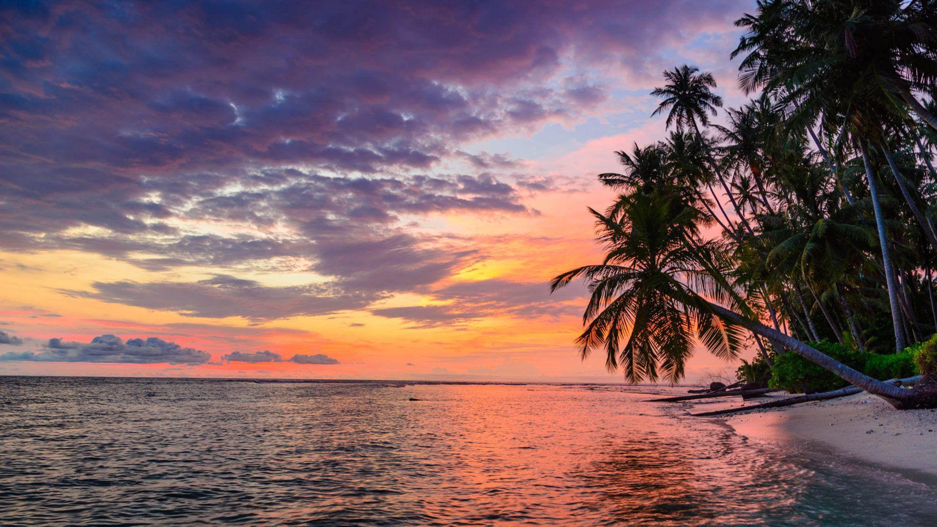 Beach Sunset HD Desktop Wallpapers - Top Free Beach Sunset HD Desktop ...