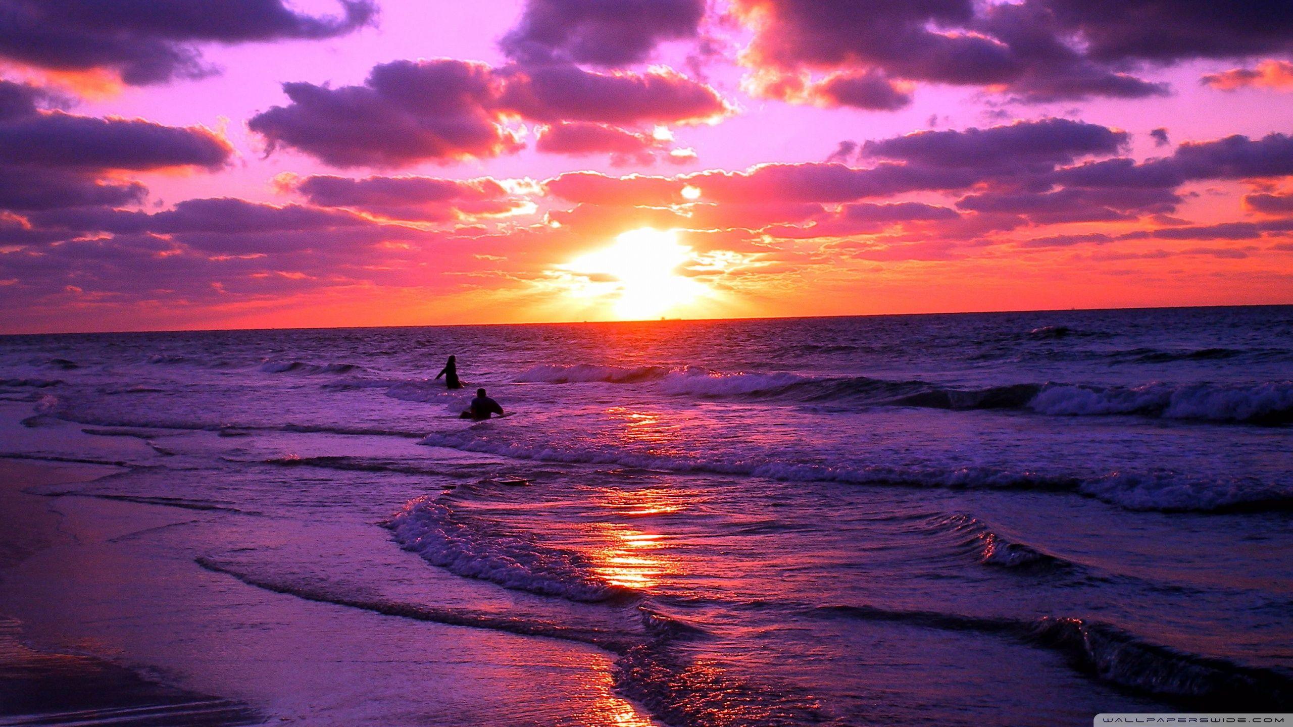 2560x1440 Sunset HD Wallpaper 1080p