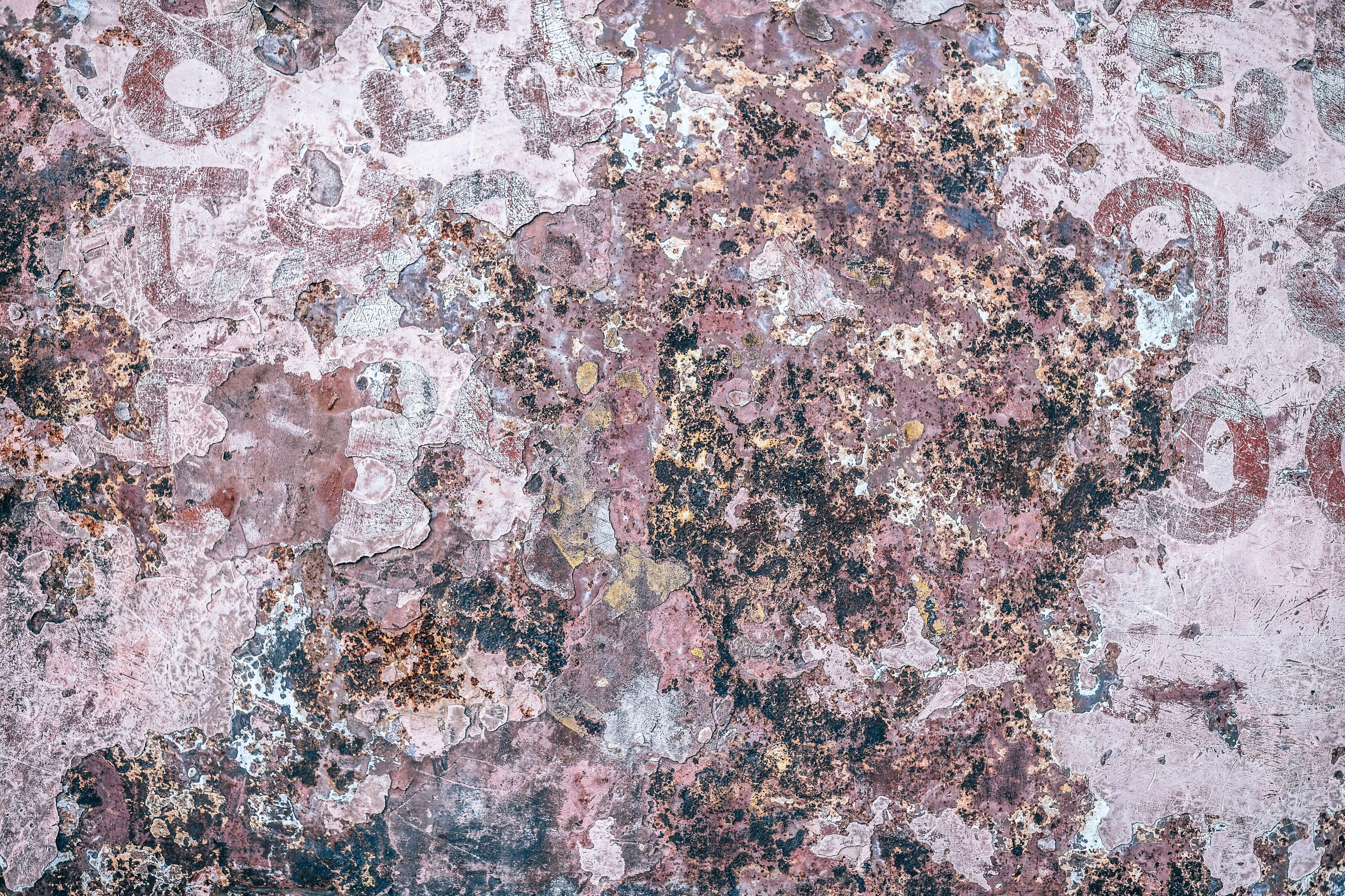 6000x4000 6000x4000 #grunge, #building, #weathered, #pink, #wall