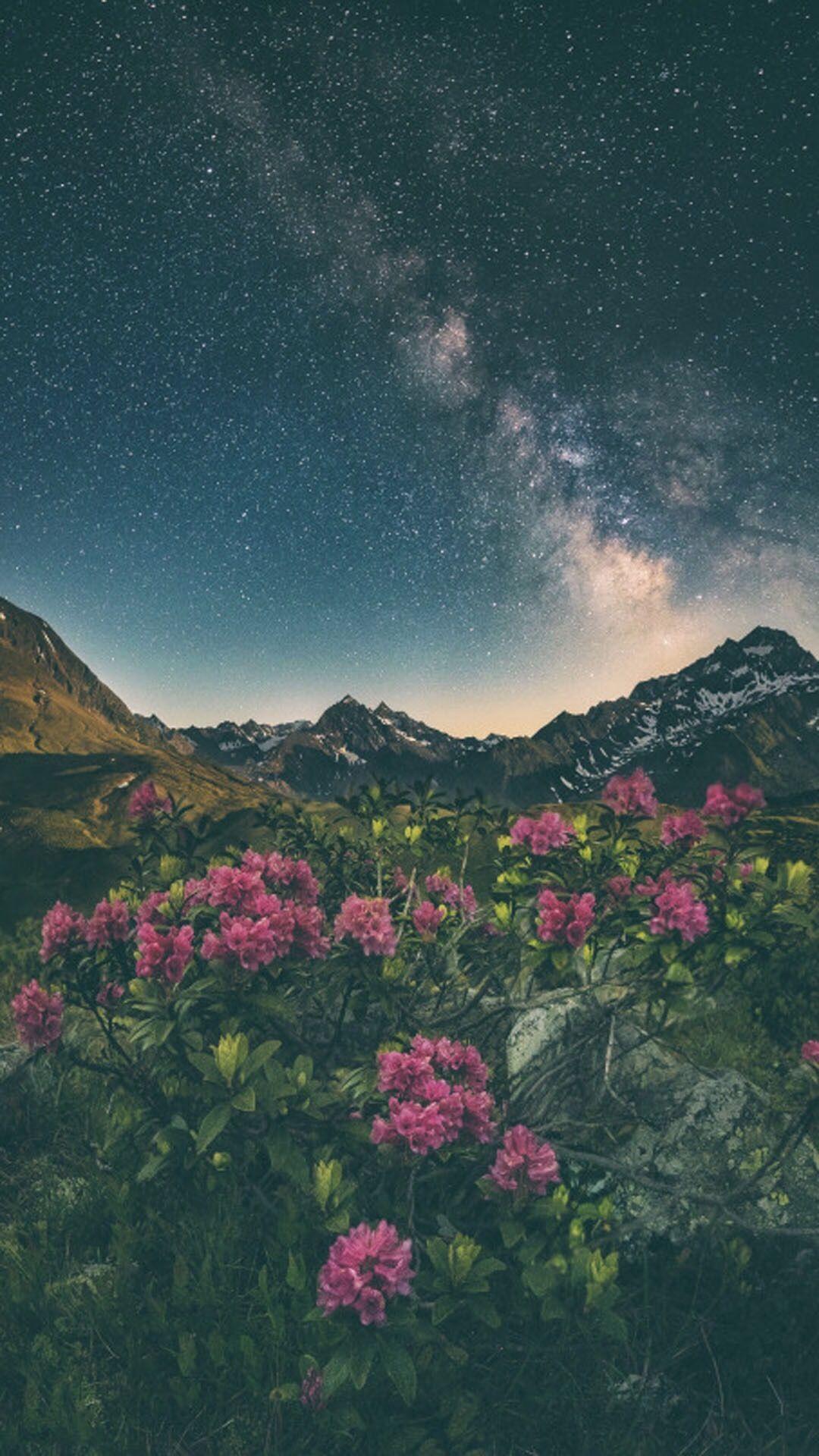 HD aesthetic nature wallpapers | Peakpx