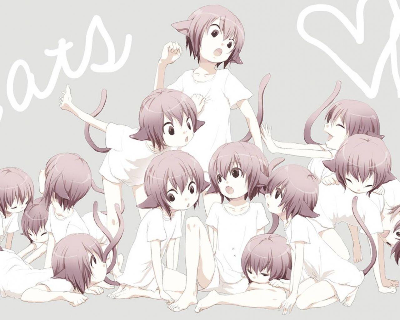 1280x1024 Free download Cat girls Really cute kitty cat girls 1920x1080