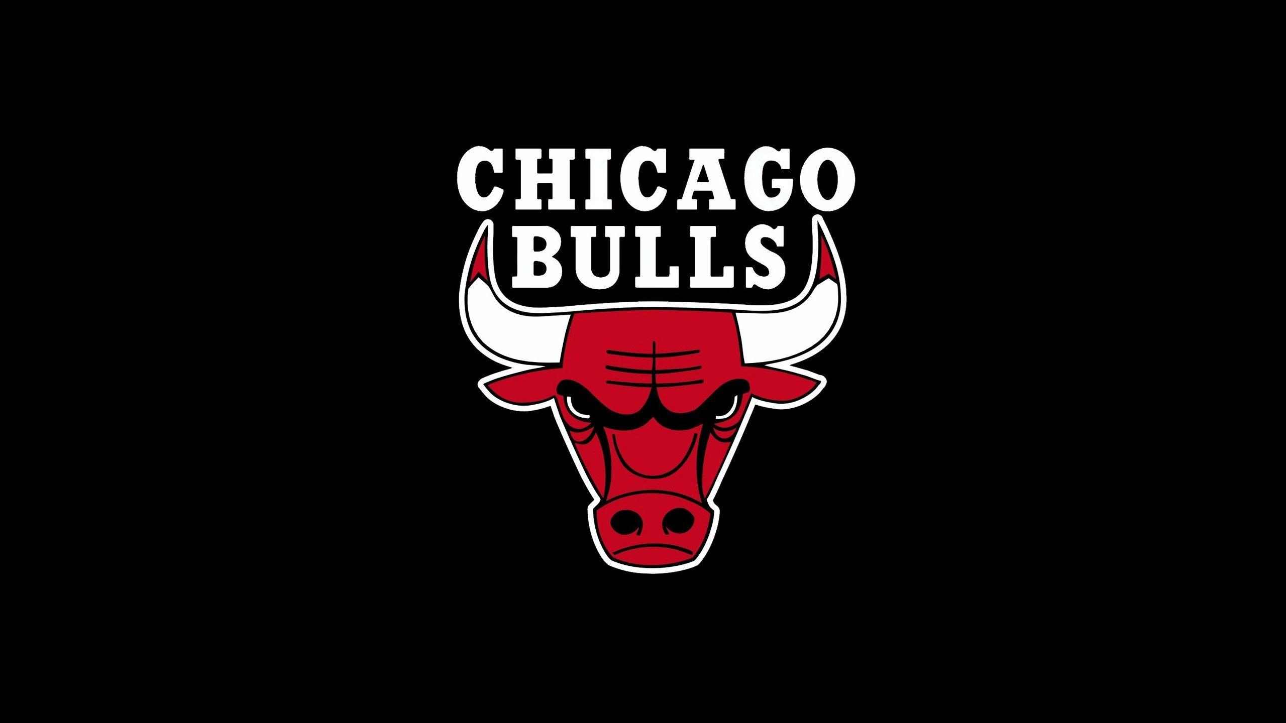 2560x1440 Chicago Bulls Wallpaper