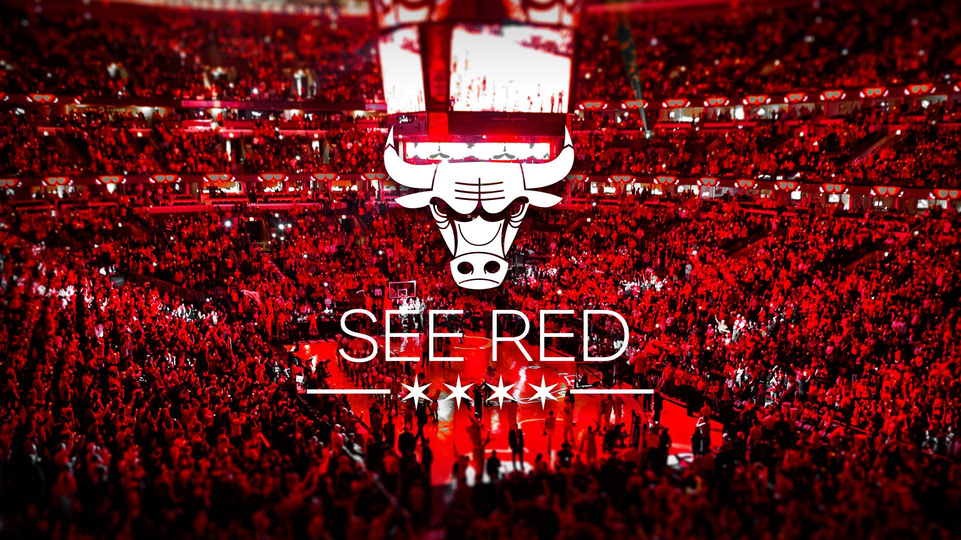 1920x1080 Chicago Bulls Ultra HD Wallpaper Download Resolution 4K