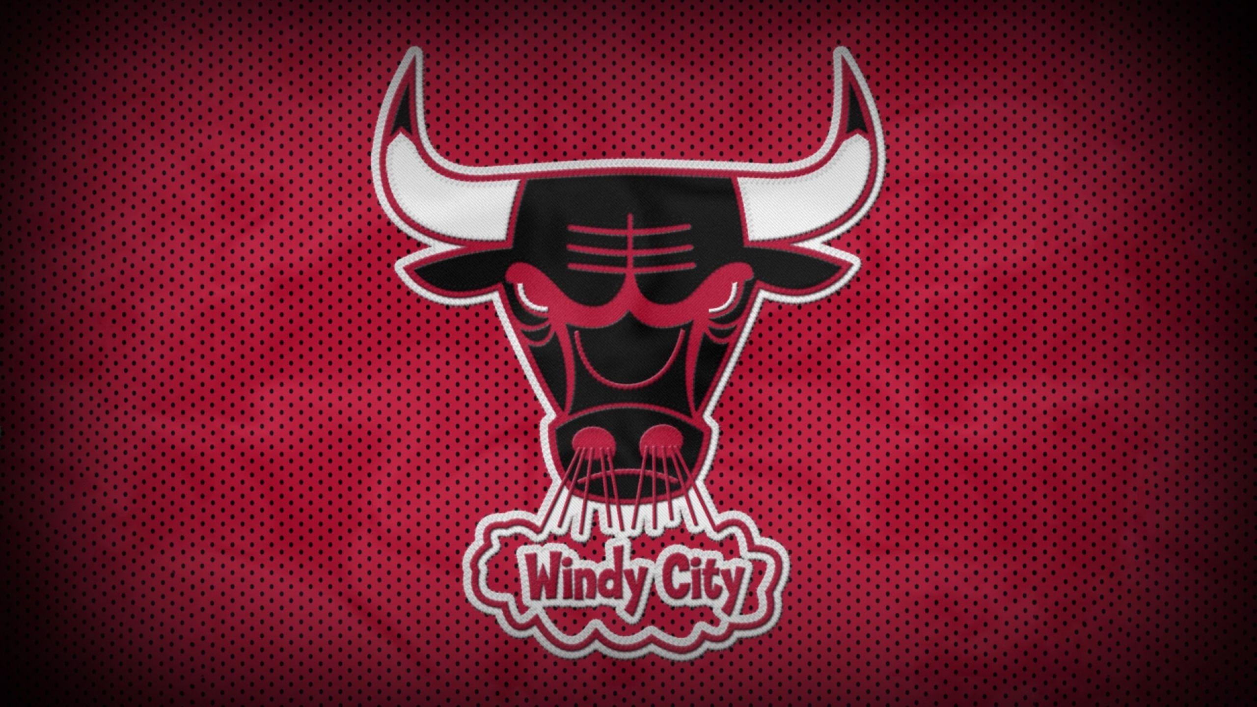 2560x1440 chicago bulls, bull, basketball 1440P Resolution