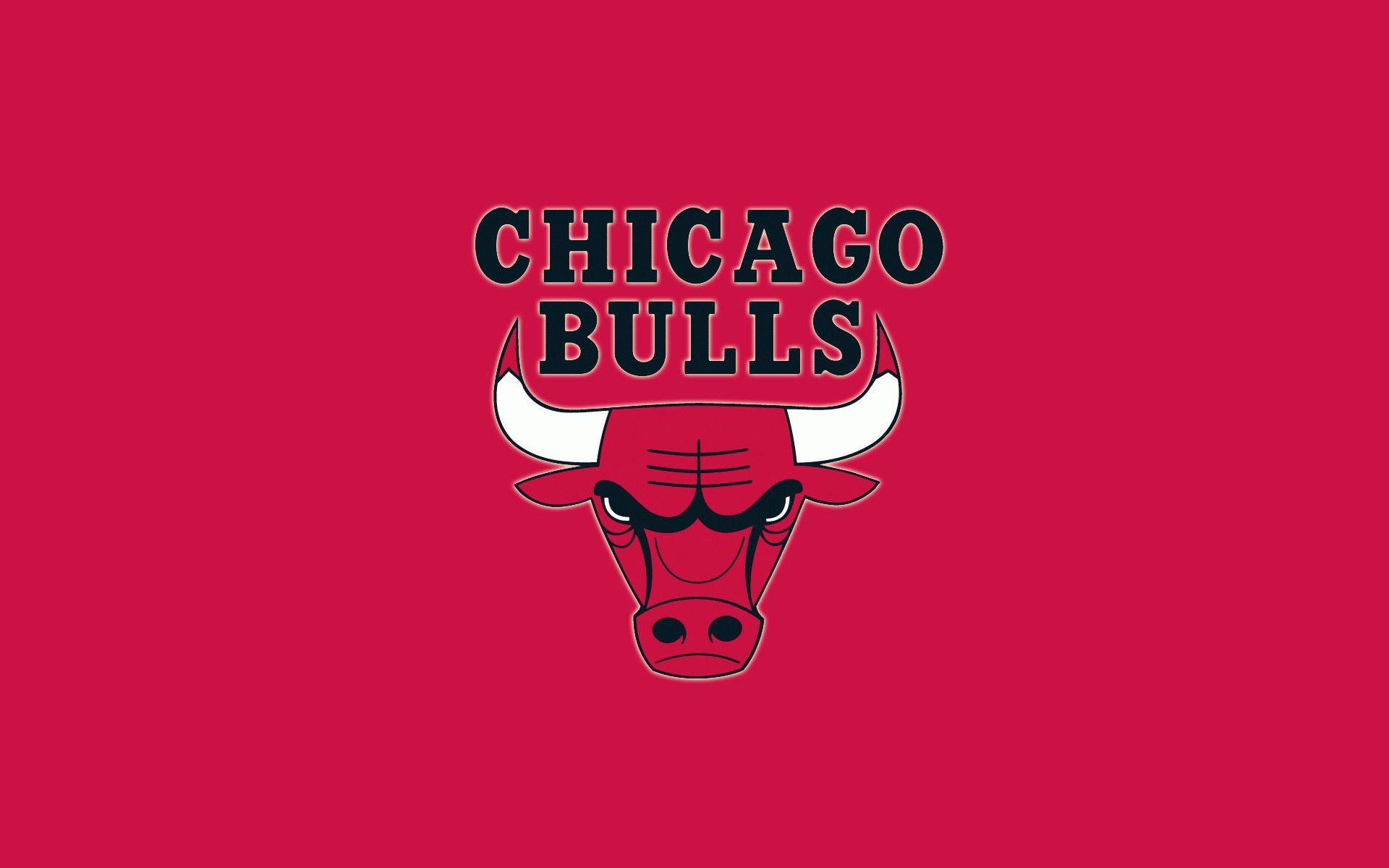 1920x1200 Bulls Wallpaper HD